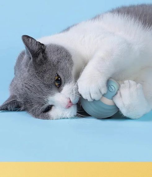 Smart Interactive Rolling Ball for Cats – Electronic Indoor Toy